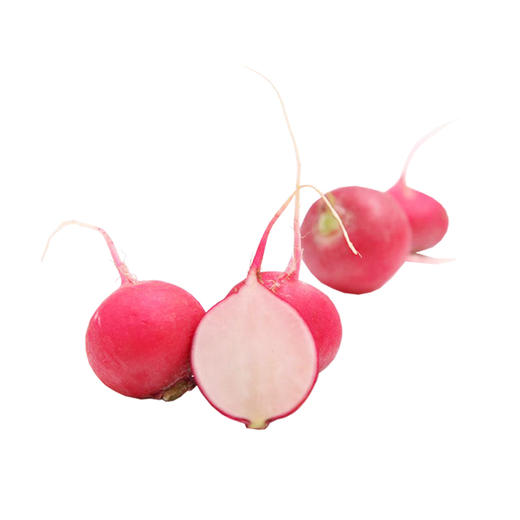 周二周五发杨花萝卜有机种植