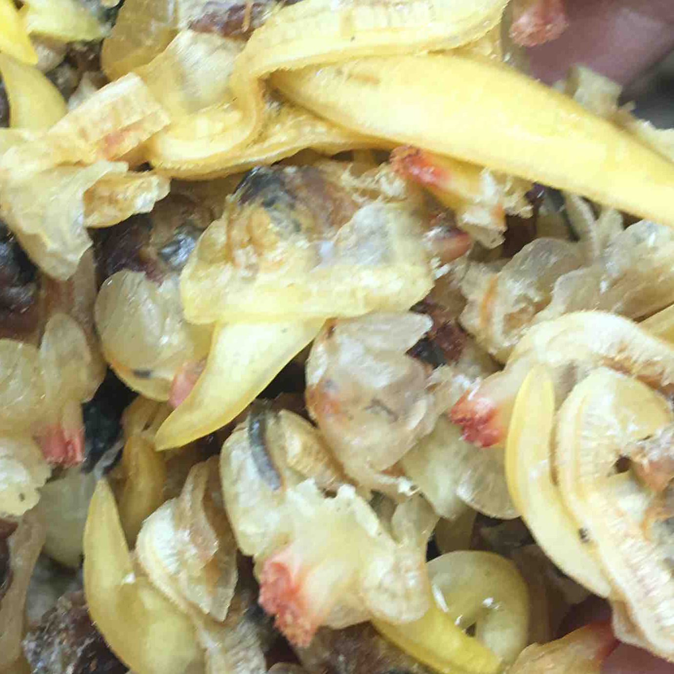 南港渔铺 花蛤干500g