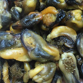 南港渔铺 淡菜干500g