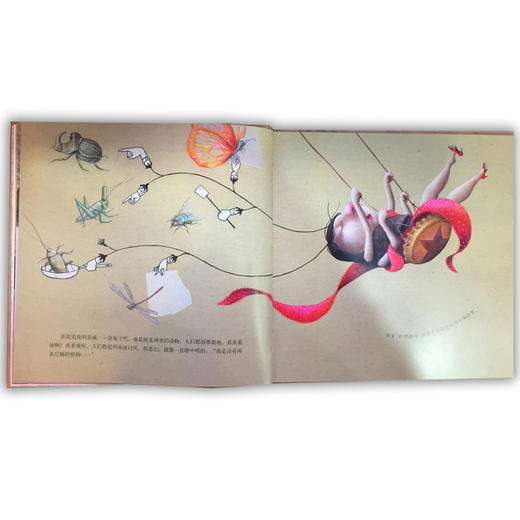 小荷精选图画书 蟑螂的故事 正版包邮 商品图2