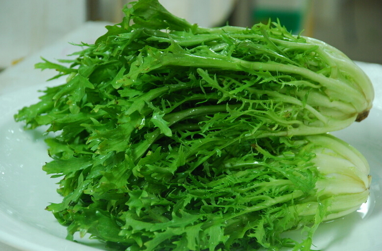 苦菊 6元/份/3两