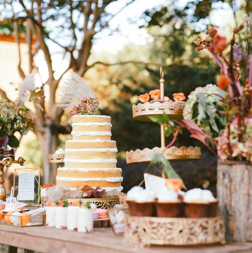 复古森系甜品桌 商品图0