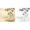 工笔动物白描底稿-老虎-王爱民《松荫》斗方小品册页-多种白描尺寸可选-WH13 商品缩略图0