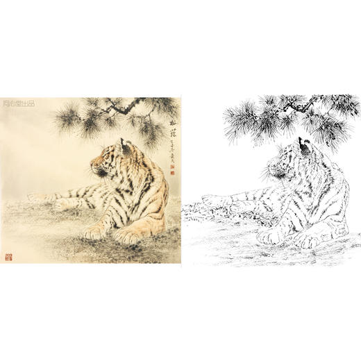 工笔动物白描底稿-老虎-王爱民《松荫》斗方小品册页-多种白描尺寸可选-WH13 商品图0