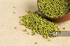 【绿豆】精品绿豆500g/份