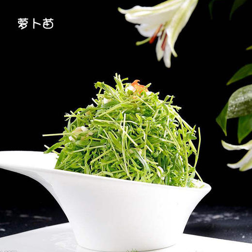 育苗4套套 商品图3