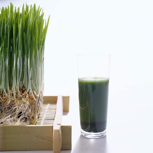 育苗4套套 商品图1