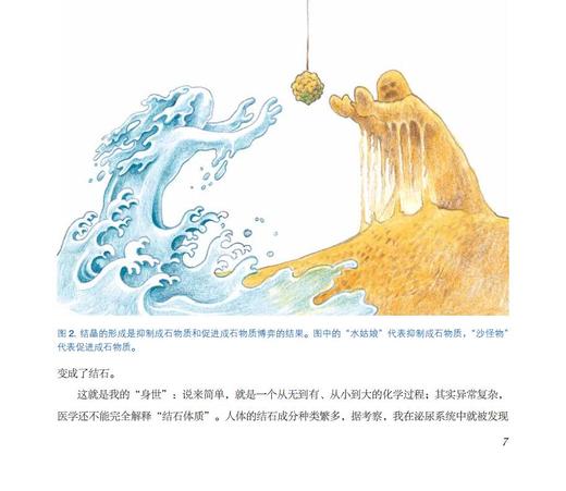 尿路结石是怎样炼成的 （“北大专家画说泌尿疾病”医学科普丛书）宋刚 著 郭应禄 审  北医社 商品图14