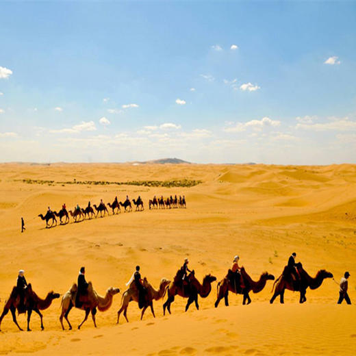 周末2天【库布齐沙漠 立减30元】沙漠徒步之旅の用脚丈量沙漠-用心行走天际<包头集散> 商品图1