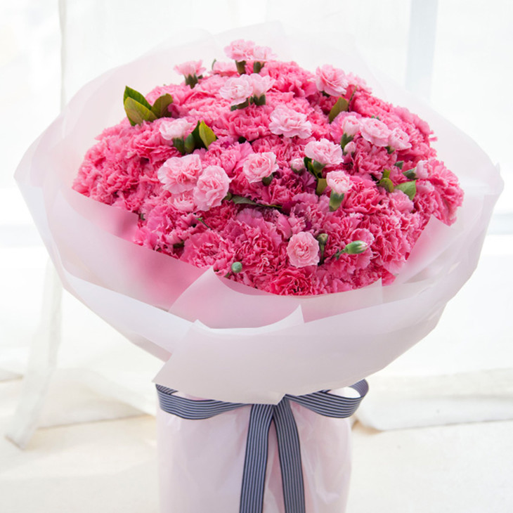 康乃馨混搭精美花束-送妈妈老师女性长辈生日探望母亲节节日问候祝福