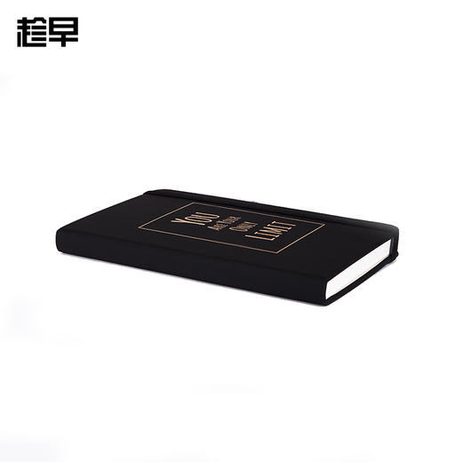 【趁早文创】趁早常规手册 精装硬皮方格点阵手册 大理石 黑金手帐 效率本 商品图1