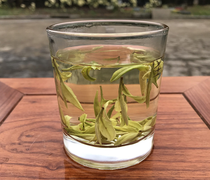 龙游黄茶 绿茶界的一叶小清新 茶界泰斗院士陈宗懋都为他打call