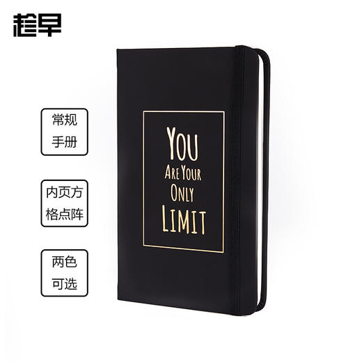 【趁早文创】趁早常规手册 精装硬皮方格点阵手册 大理石 黑金手帐 效率本 商品图0