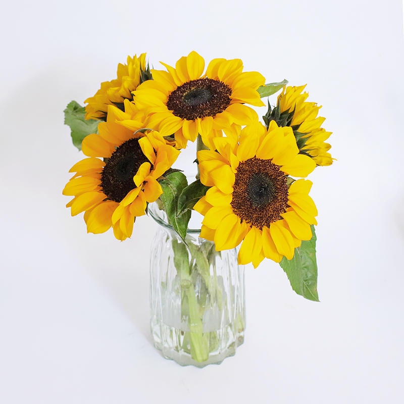 曜灵花束 向日葵 洋甘菊组合 温暖明媚 元气可爱 拼团