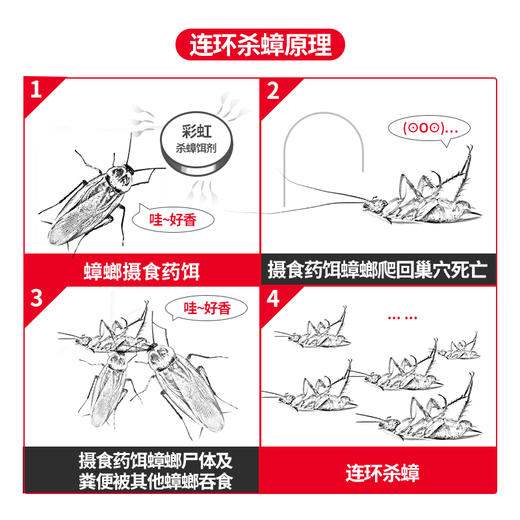 【Rainbow】彩虹杀蟑饵剂 蟑螂药 灭蟑螂杀蟑螂诱捕药全窝端 家用5802（两盒装） 商品图5