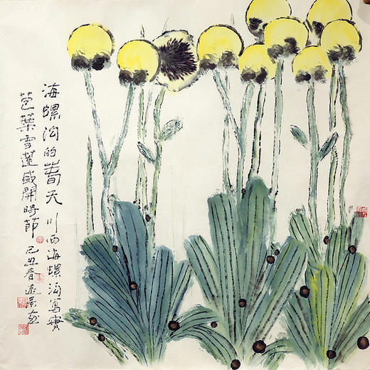 《海螺沟的春天》 商品图0