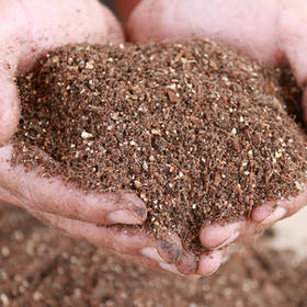 日家庭园艺营养土