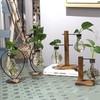 【家居摆件】玻璃创意水培花器 北欧家居新款木质工艺品摆件 商品缩略图0