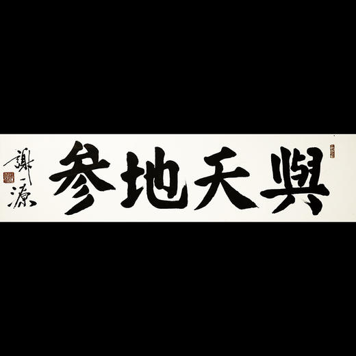 《与天地参》 商品图0