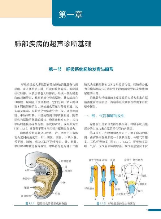 2018年新书：肺部急重症超声 吕国荣、杨舒萍主编（北京大学医学出版社） 商品图1