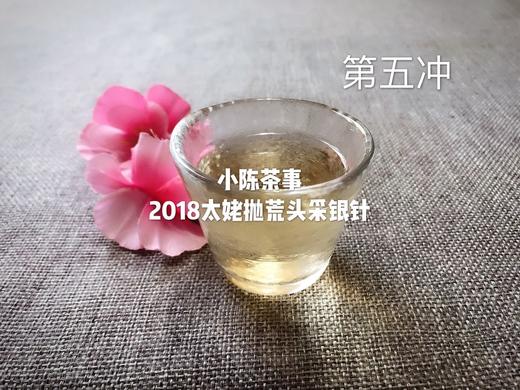 2018高山抛荒银针，被年份耽误的荒野银针 商品图8