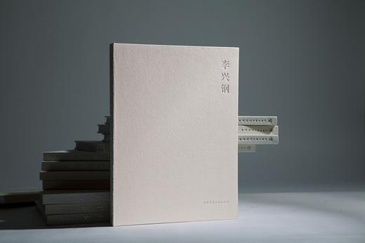 当代建筑师系列  全套共13册 商品图7