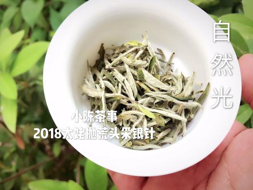 2018高山抛荒银针，被年份耽误的荒野银针 商品图4