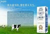 【批发】蒙牛特仑苏纯牛奶250ml*12/箱 商品缩略图1