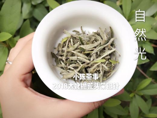 2018高山抛荒银针，被年份耽误的荒野银针 商品图5