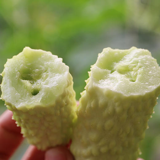 密云现摘老品种白黄瓜 1斤    自然成熟  新鲜生吃水果黄瓜 清香爽脆  黄瓜味儿浓 商品图2