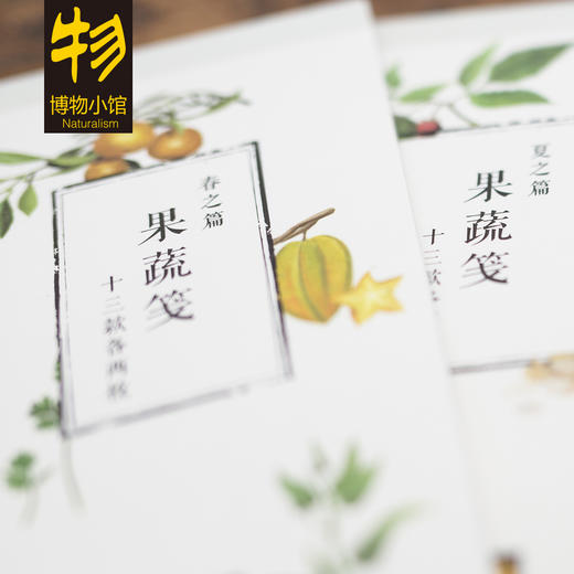 博物小馆原创 【果蔬笺】 春夏秋冬四季果蔬笺纸 商品图2