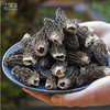 土哆哆云南精选特级干羊肚菌 无熏硫 剪柄 50克 商品缩略图2