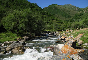 【互助北山1日】扎隆沟景区休闲一日游 商品图3