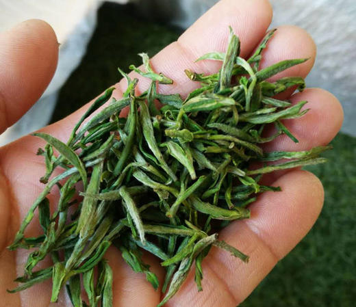 【山歌郁选】 江山绿牡丹  原生态高山特级茶叶 礼盒装 125克/罐 4罐礼盒装  2罐礼盒装 商品图1