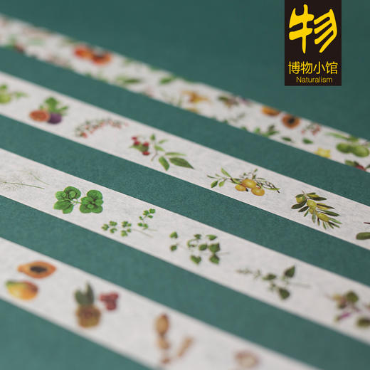 博物小馆原创 【果蔬笺】 春夏秋冬四季果蔬笺纸 商品图1