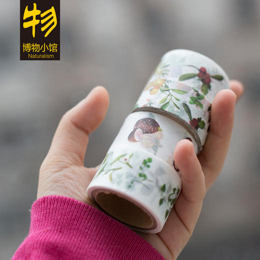 博物小馆原创 【果蔬笺】 春夏秋冬四季果蔬笺纸 商品图3