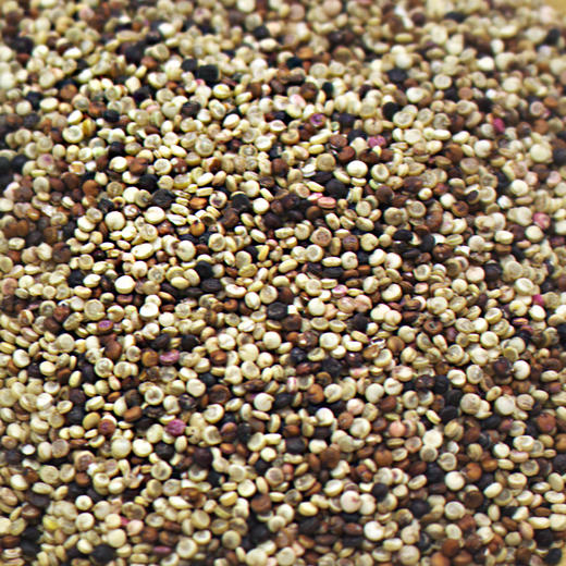 三色藜麦——源于南美 缤纷素食 360g 商品图1