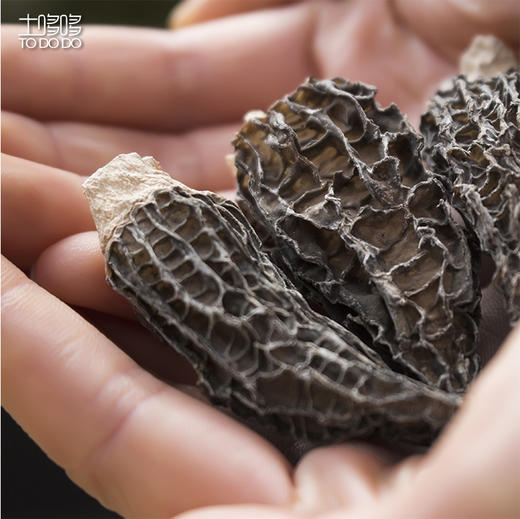 土哆哆云南精选特级干羊肚菌 无熏硫 剪柄 50克 商品图3