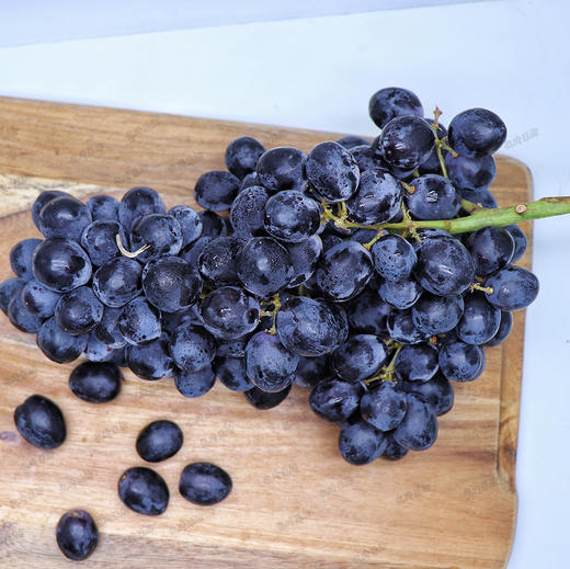 智利进口玫瑰香黑提 5斤 /2-4包   新鲜 甜度高 带有玫瑰香气  花青素满满 商品图5