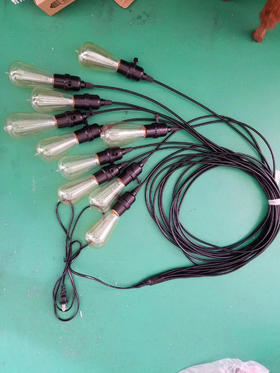 爱迪生灯串【运费自理】