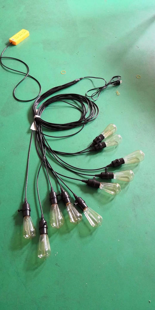 爱迪生灯串【运费自理】 商品图2