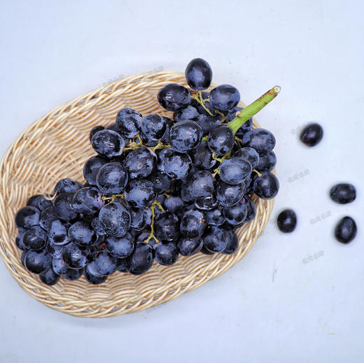 智利进口玫瑰香黑提 5斤 /2-4包   新鲜 甜度高 带有玫瑰香气  花青素满满 商品图2