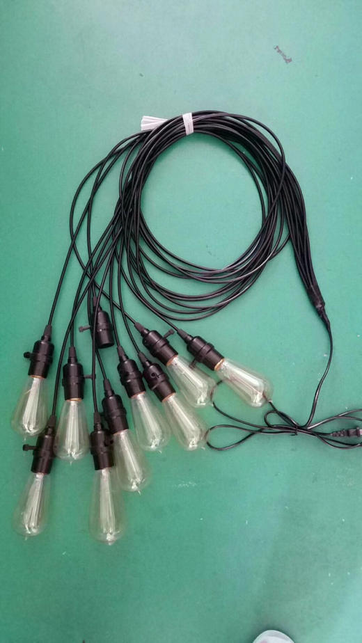 爱迪生灯串【运费自理】 商品图3