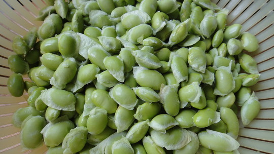 无公害 手剥毛豆米 懒人福音(5元/份/半斤)