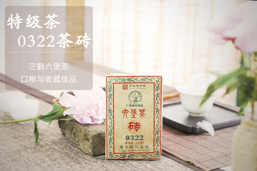 三鹤六堡茶 2013年 0322六堡茶砖（2015年包装出厂，250g） 商品图0