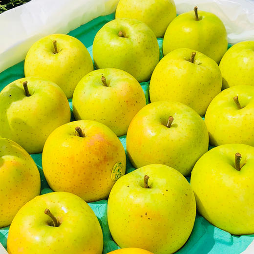日本青森王林苹果  |    果子碧绿清新 果肉紧实清脆  甜中略带点酸！ 商品图3
