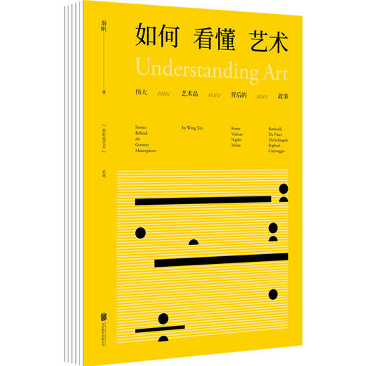 如何看懂艺术：像小说一样好看的艺术史 商品图1