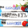 【美食特产】凯志蓝莓山楂条五斤多味酸甜零食果丹皮山楂 商品缩略图4