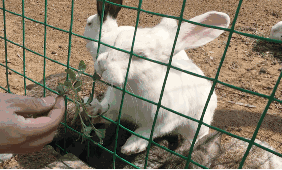 560_339gif 动态图 动图