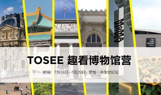 【7月24-7月29日】TOSEE趣看博物馆艺术营——卢浮宫、台北故宫、普拉多博物馆、大都会博物馆、梵高博物馆、美国现代艺术博物馆 商品图0